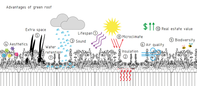 Advantages of green roofs