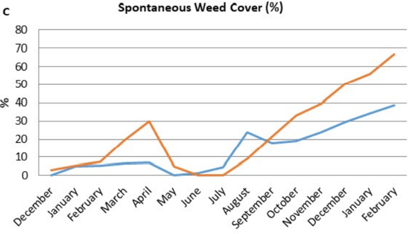 spontaneous weed cover
