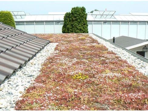Blog_green_roof_and_climate_change4-1