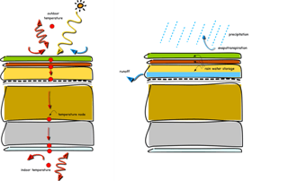 real performance of green roofs