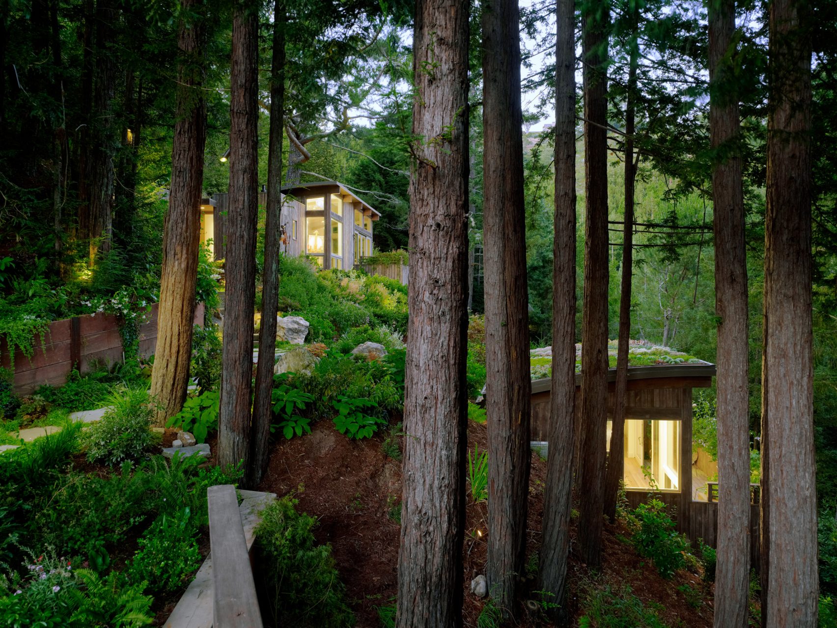 Feldman-Architecture-Mill Valley Cabins-photo by Joe Fletcher 02