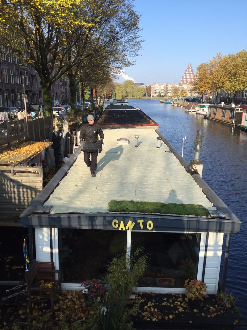 Amsterdam - installing sedum.jpg