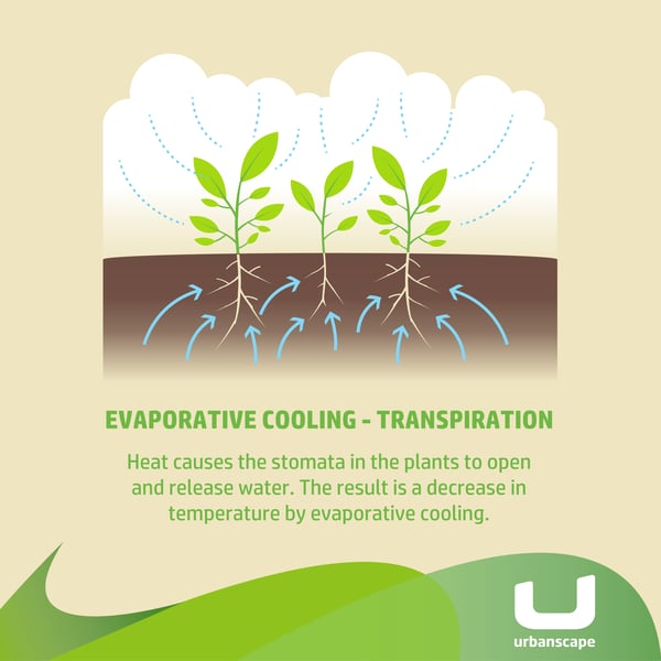 Grafika_Evaporative cooling