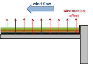Effect of wind on green roof.png