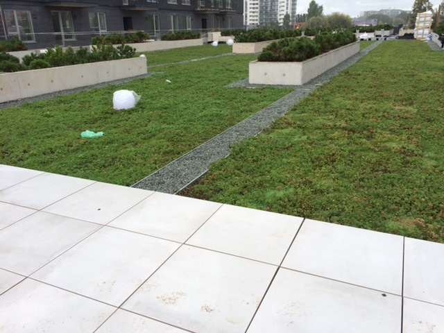 Green Roof - Riga, Latvia.jpg