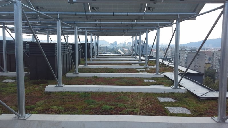 PV_Green_Roof_2.jpg