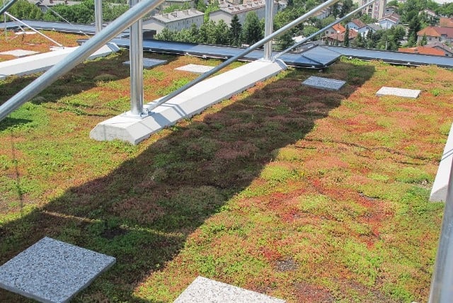 Utilizing Roofs Photovoltaics On Green Roofs