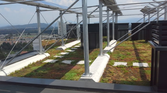 PV_Green_Roof_4.jpg