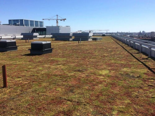 Urbanscape® Green Roof 