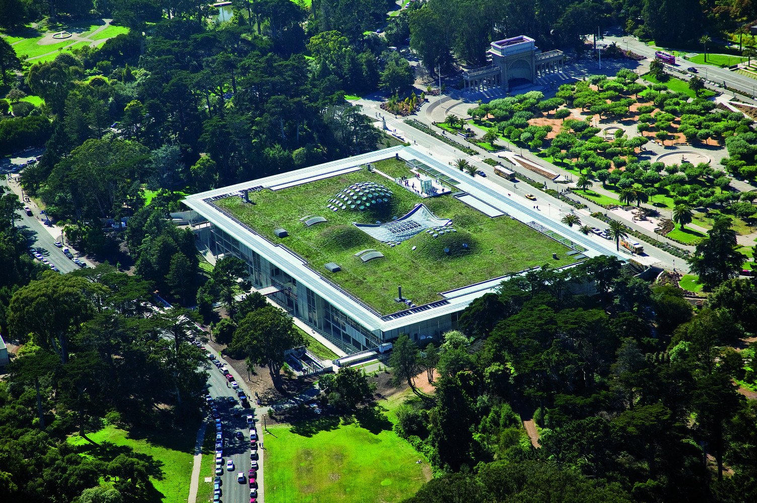 Renzo Piano_California Academy of Sciences_02_photo by Tom Fox