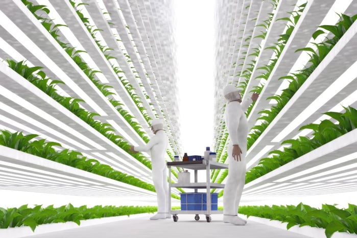 Vertical Farm-small.jpg