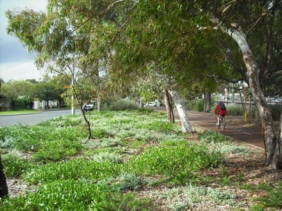 Vegetation barriers