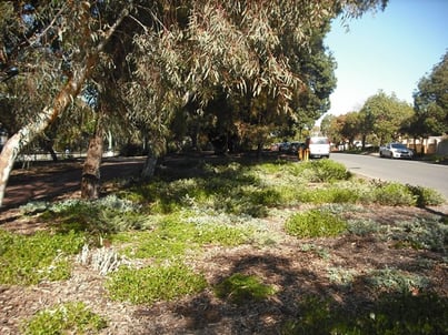 Vegetation barriers