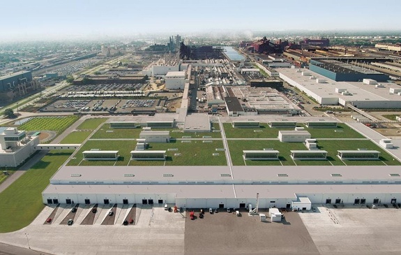 sedum_roof_on_the_top_of_Ford_Motor_Company_Michigan.jpg