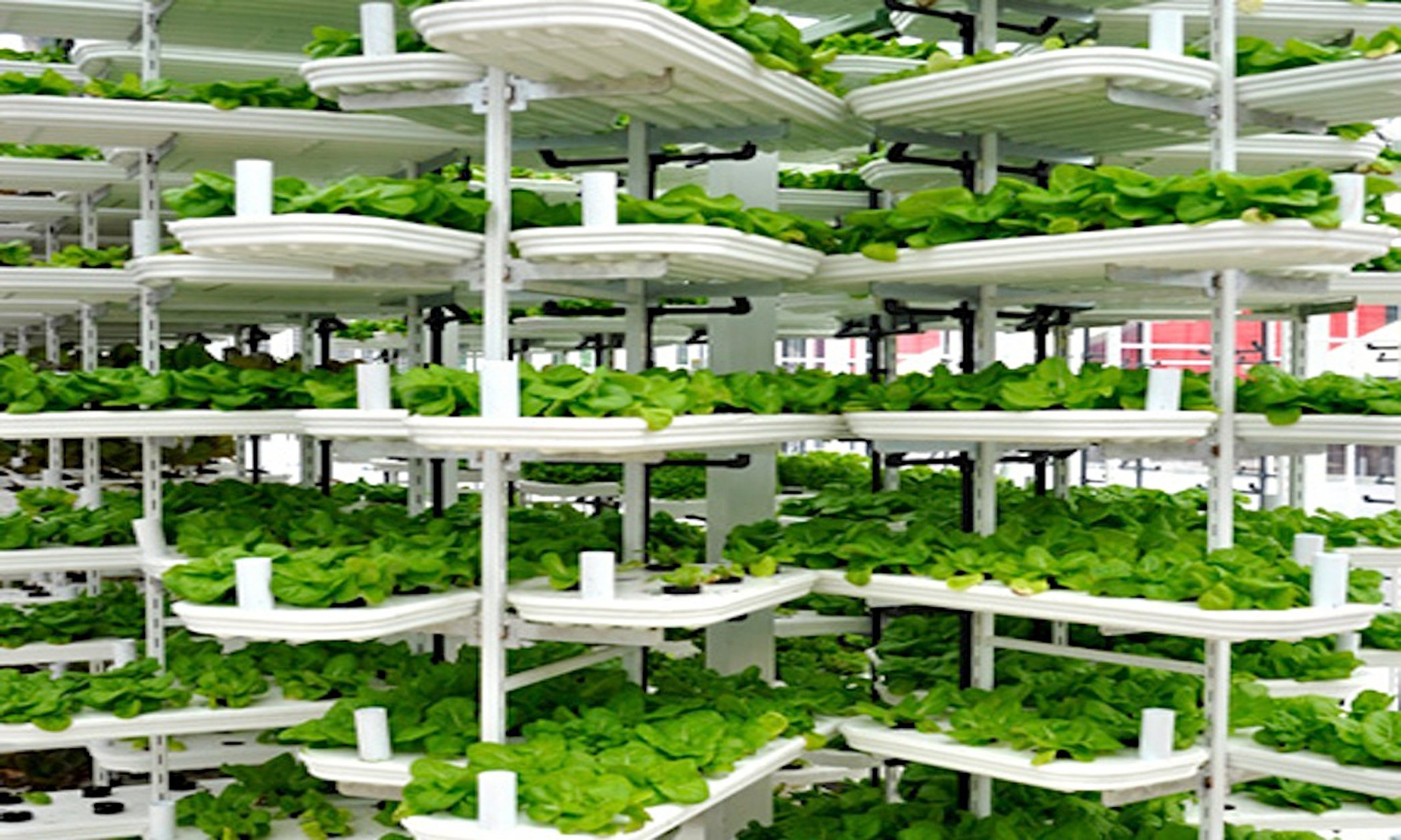 Vertical farming – A solution to the growing demand for food?