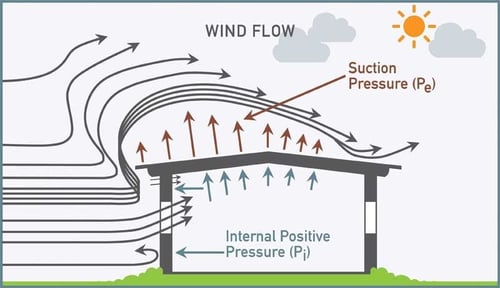 How to Design a Green Roof for Wind Resistance?